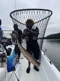 Catching Alligator Gar 