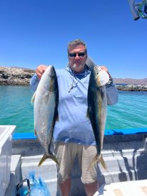Baja California Report Photo 1