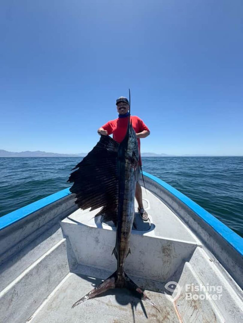 Bahía de los Ángeles Report Photo 0