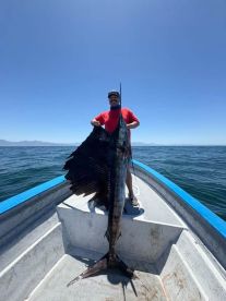 Bahía de los Ángeles Report Photo 1