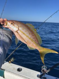 Halifax River Report Photo 1