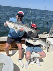 Cape Cod Bay Report Photo 1