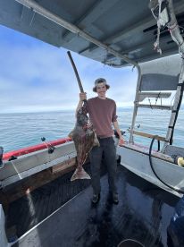 Vancouver Island Report Photo 2