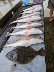 Empire Report Photo 2