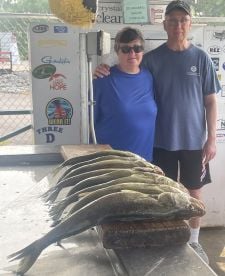 Nice bunch of walleyes! 