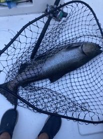 Newcastle Report Photo 2