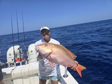 Pinellas County Report Photo 4