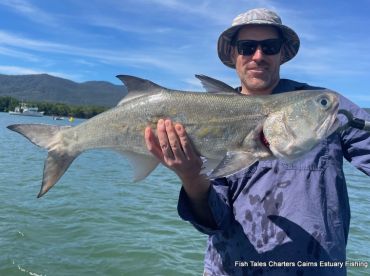Blue Threadfin!