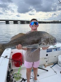 Black Drum