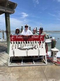 San Jose Island Report Photo 4