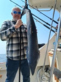 Catalina Island Report Photo 2