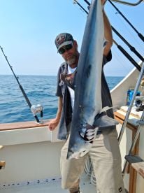 Catalina Island Report Photo 1