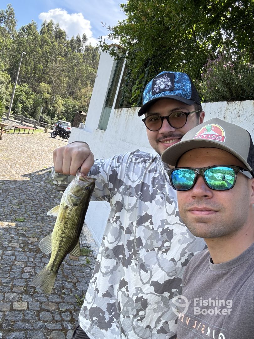 Porto District Report Photo 0