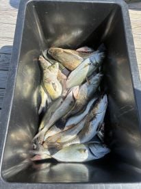 Good action today 
