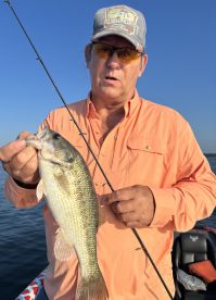 Carroll County Report Photo 4