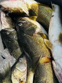 Can it get any better