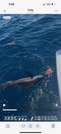 Pompano Beach Report Photo 1