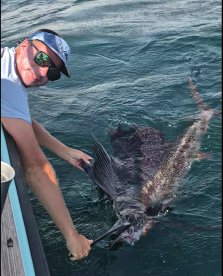 Catch and release sailfish trip!