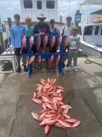 Vermillion snapper