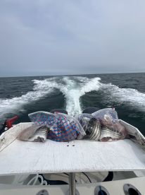 Cape Cod Bay Report Photo 1
