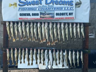 Making Dreams come true!  July & August 