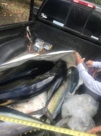 tuna are here book now…
