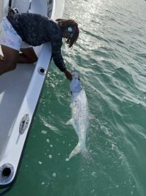 Florida Keys Report Photo 1