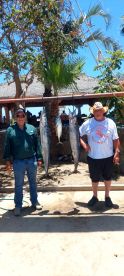 Baja California Sur Report Photo 1