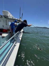 Northern California Report Photo 1