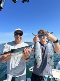 Cape Cod Report Photo 2