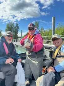 Kenai Peninsula Report Photo 1