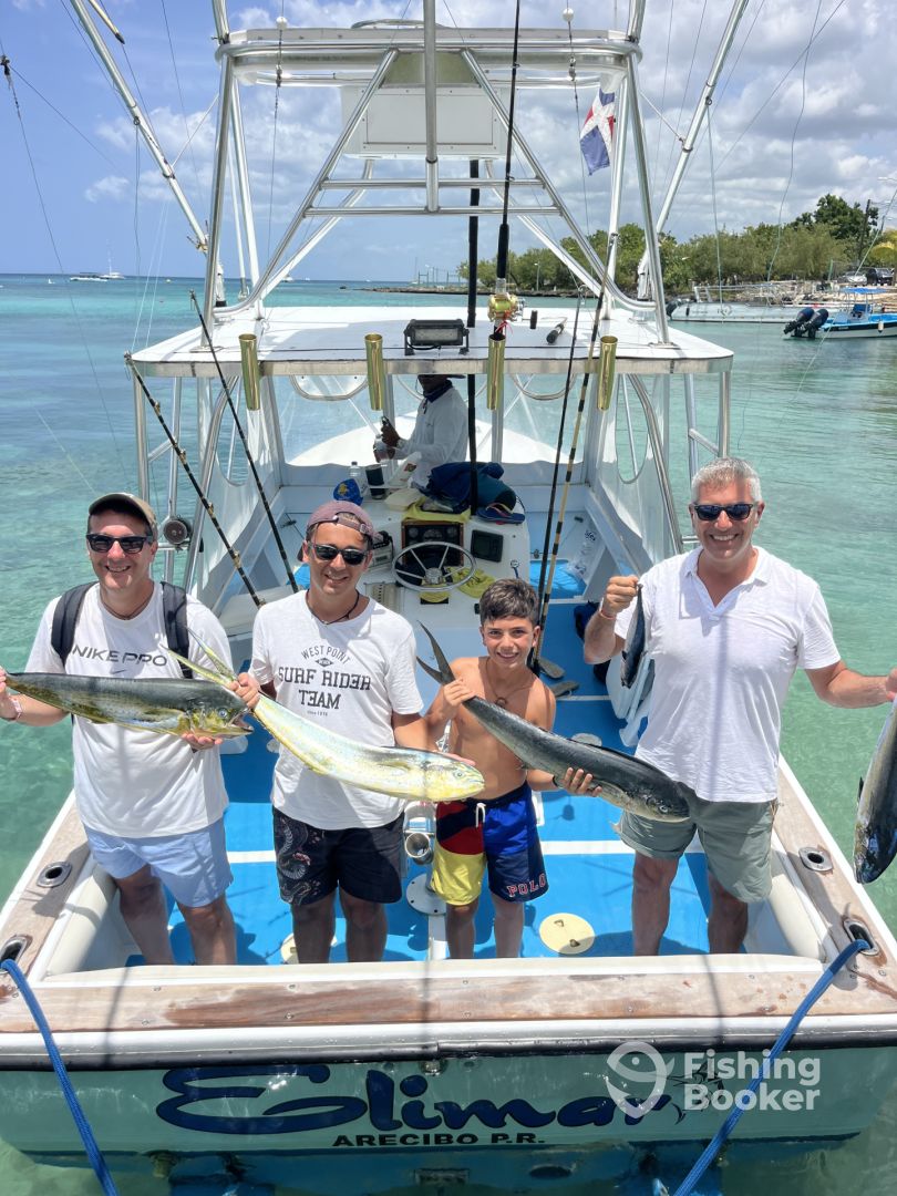 Dominican Republic Report Photo 0