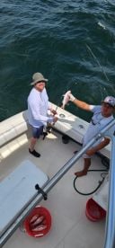 Florida Panhandle Report Photo 1