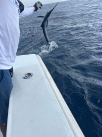 Great Fishing, Food & Camaraderie on the