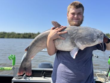 Trophy blue catfish