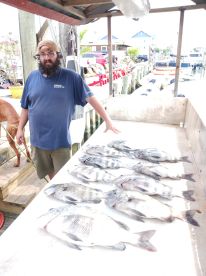 Sheepshead snapping 