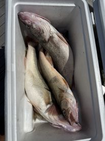 Sheffield Lake Report Photo 4