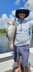 Extoic species smackdown.