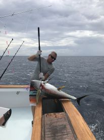 Manteo Report Photo 1