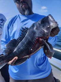 The bite is hot right now