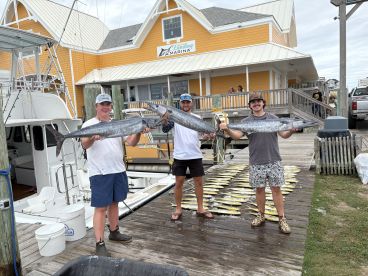 Plenty To Go Around!