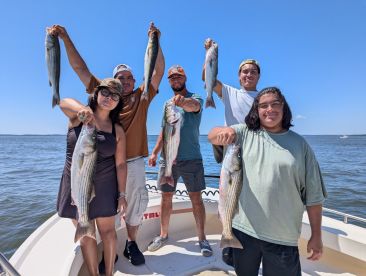 Come see this for yourself 