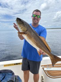 Panacea Report Photo 4