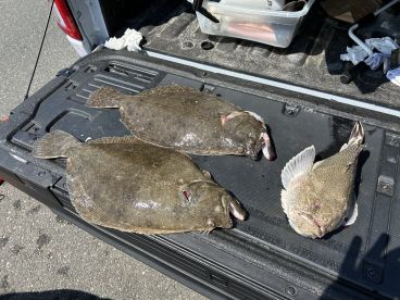 Brick Township Report Photo 1