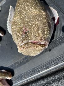 Brick Township Report Photo 2