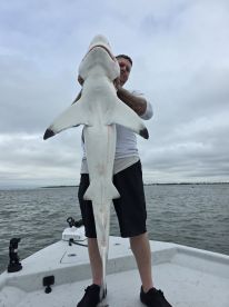 August 2025 means big sharks!