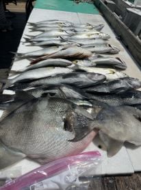 6hr trip tons of action