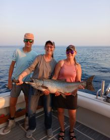 Williamsburg Report Photo 1