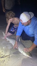 A great night for Sharks!