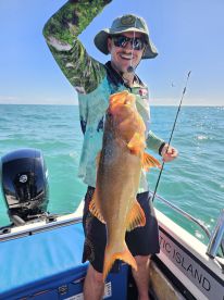Big Coral Trout and Grassy Emperor 